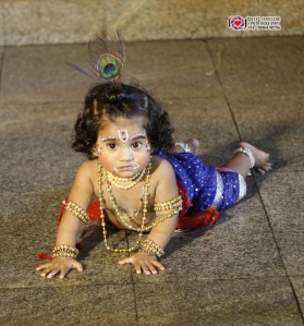 Cutest Little Krishna -1
